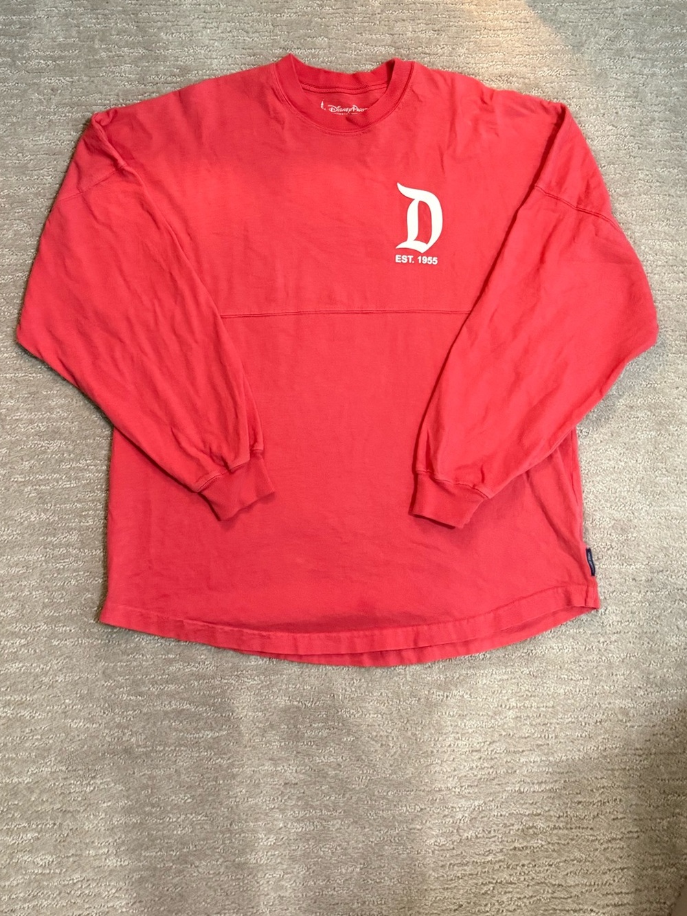 Disneyland Spirit Jersey